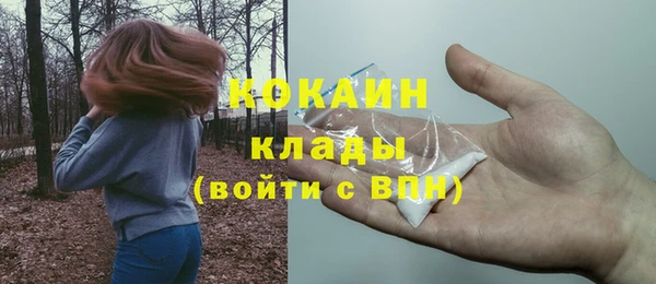 дживик Алзамай